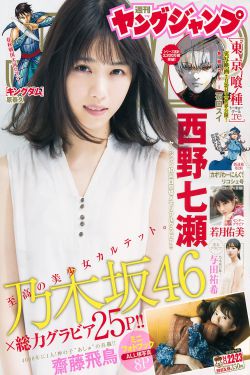 黄飞鸿之南北英雄