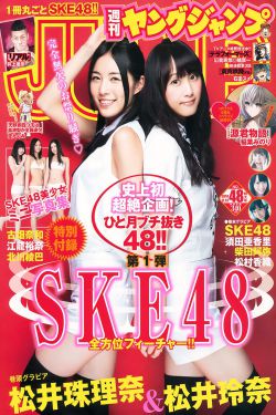 安能辨我是雄雌